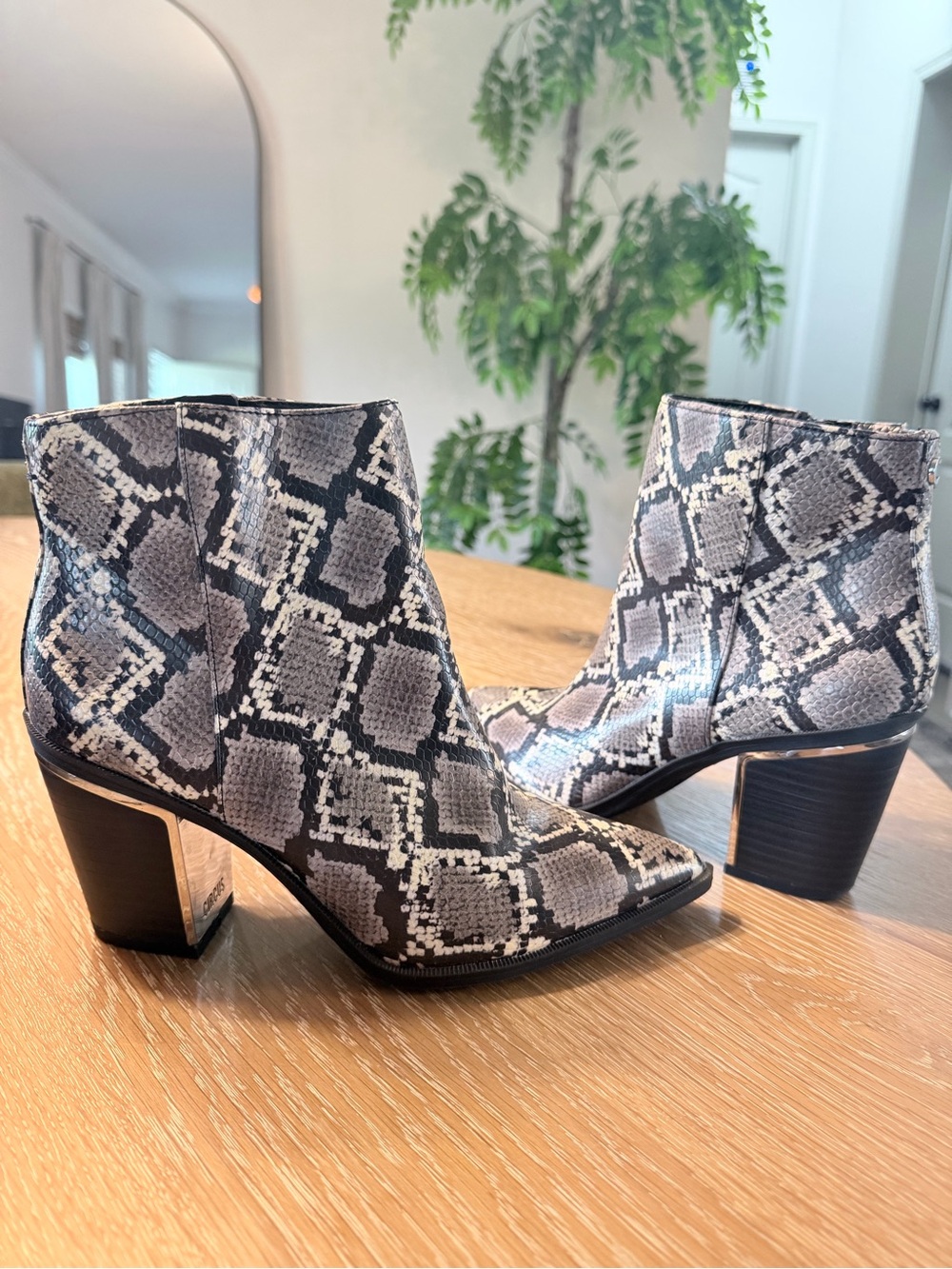 Circus by Sam Edelman Snake-Print Pointed Ankle Boots - Gray & Black